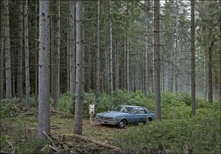 The Pine Forest (Cathedral of the Pines), photo, Gregory Crewdson
