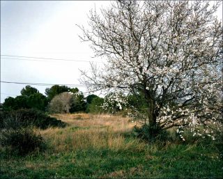 La couleur de l’air, photo, David Huguenin