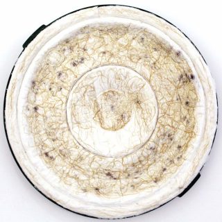 Last Garden 1, Michel Blazy