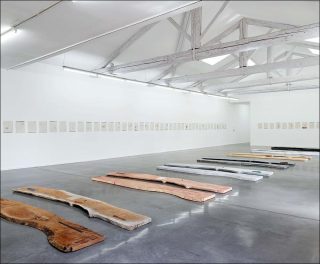 La chasse, installation, Lucy Skaer