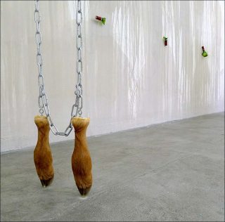 Taxidermie, installation, Delphine Reist