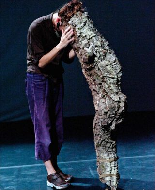 Les Serrenhos du Caldeirão, Danse contemporaine, Vera Mantero