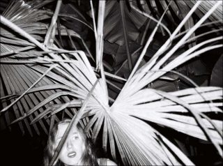 Sans titre, photographie, Marianne Maric