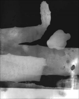 Test Strips, photogramme, Vincent Ceraudo