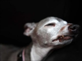 Pirelli, photo, Guillaume Janot