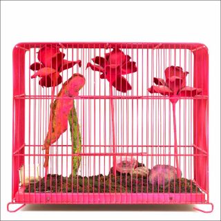 Cultivation of the Nature – For Nostalgic Purposes – For Your Living Room, sculpture, Tetsumi Kudo