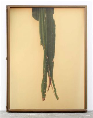 Botanical Frottage (Clara), impression, Adrien Missika