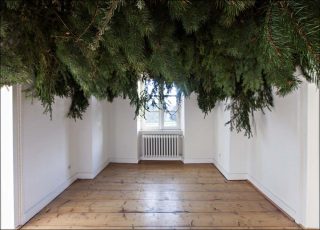 Ah, Wilderness, installation, Maria Loboda