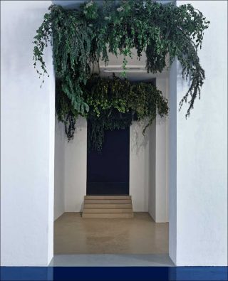 Ah, Wilderness, installation, Maria Loboda