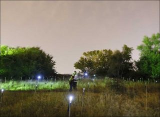 Aurora, installation interactive, Le Tazasproject