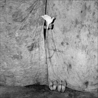 Juxtaposed, photo, Roger Ballen