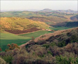 Allegro Largo Triste, vidéo, Aurélien Froment