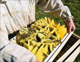 Les Palais, installation, Luce Moreau