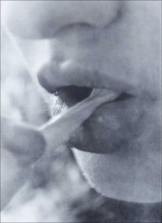 The Viewer Discretions is Advised 1, photo picturale, Hubert Marot