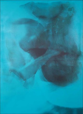 The Viewer Discretions is Advised 2, photo picturale, Hubert Marot