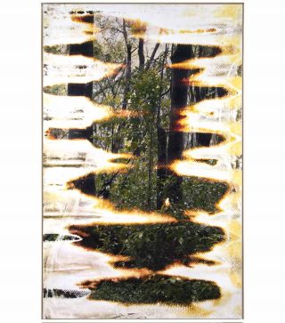 Wai’anae 92150X, photo, Matthew Brandt