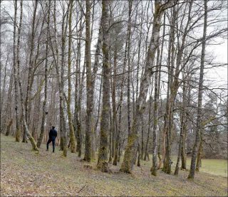 Je siffle au bord du quai, installation, Dominique Petitgand