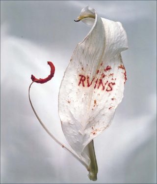 Ruins, photo, Anne et Patrick Poirier