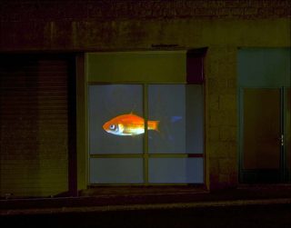 La chambre aux images, vidéo, Bertrand Gadenne