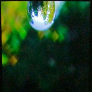 La goutte d’eau, projection vidéo, Bertrand Gadenne