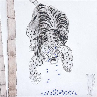 les larmes d’un tigre indien, dessin, Pierre Desfons