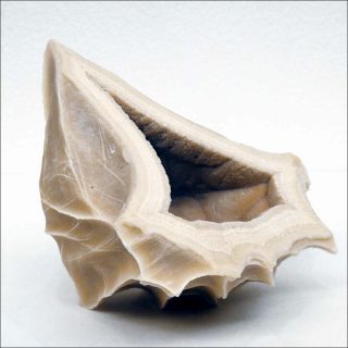 Creux (Empreinte durée), sculpture, Arnaud Vasseux