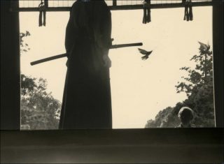 #904, photo, Yamamoto Masao