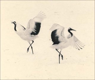 #1656, photo, Yamamoto Masao