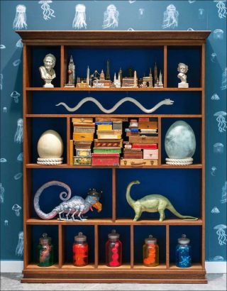 Between Voltaire and Poe, installation, Mark Dion