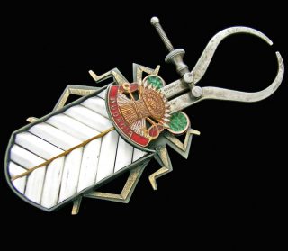 Beetle, broche, Lisa Cylinder, Scott Cylinder