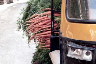 Free Ride, photo, Karim El-Hayawan