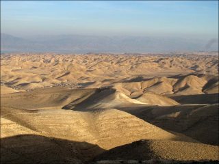 Now, installation vidéo, Chantal Akerman