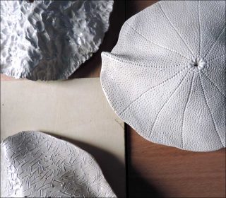 Batoïdes, céramique, Christophe Cesbron