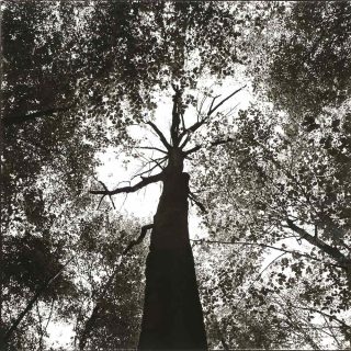 Rodtchenko, Holger Trülzsch