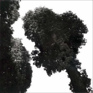 Rodtchenko, Holger Trülzsch