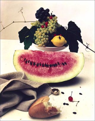 Still Life with Watermelon, photo, Irving Penn