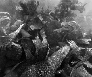 Paysages productifs, photo, Nicolas Floc’h