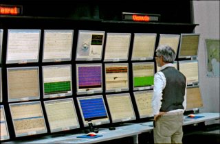 Naturalis Historia, installation, Pauline Julier