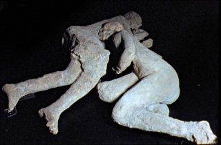 Naturalis Historia, installation, Pauline Julier