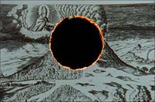 Naturalis Historia, installation, Pauline Julier