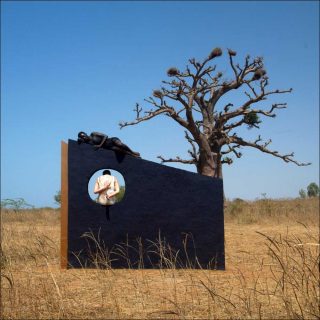 Au sol camaïeux divers verts et marrons. Un rayon se pose. Mordoré. Rosy-Blue apparaît, installation, Amélie Giacomini et Laura Sellies