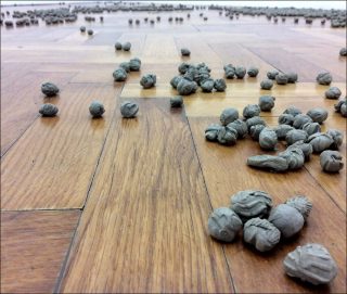 Sans Titre, installation, Tiphaine Calmettes