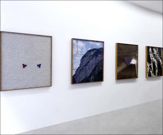 Céleste Témesta, peinture, Valentin Carron