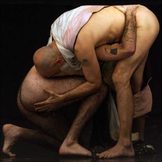 Marcelo Evelin, Danse contemporaine, Dança Doerte