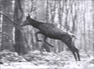 Sans titre, photo, Agnès Geoffray