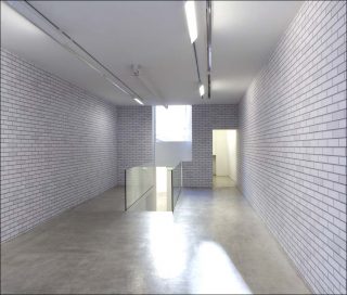 Testa di Legno, installation, Camille Henrot