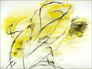 La Vie amoureuse des plantes, dessin, Daniel Dezeuze