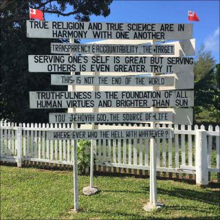 Saturday, image source, Camille Henrot