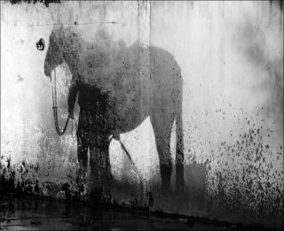 Ecrins, photo, Jeanne Marty