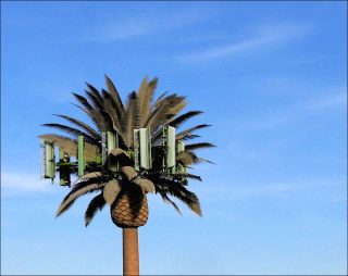 SAGA, vidéo, Rafaela Lopez, Baptiste Masson, David Perreard